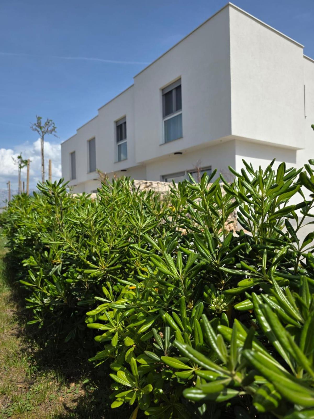 Bura House Villa Povljana Exterior photo